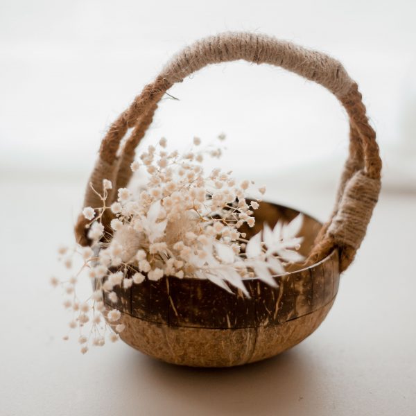 QToys Australia (USA) Coco basket
