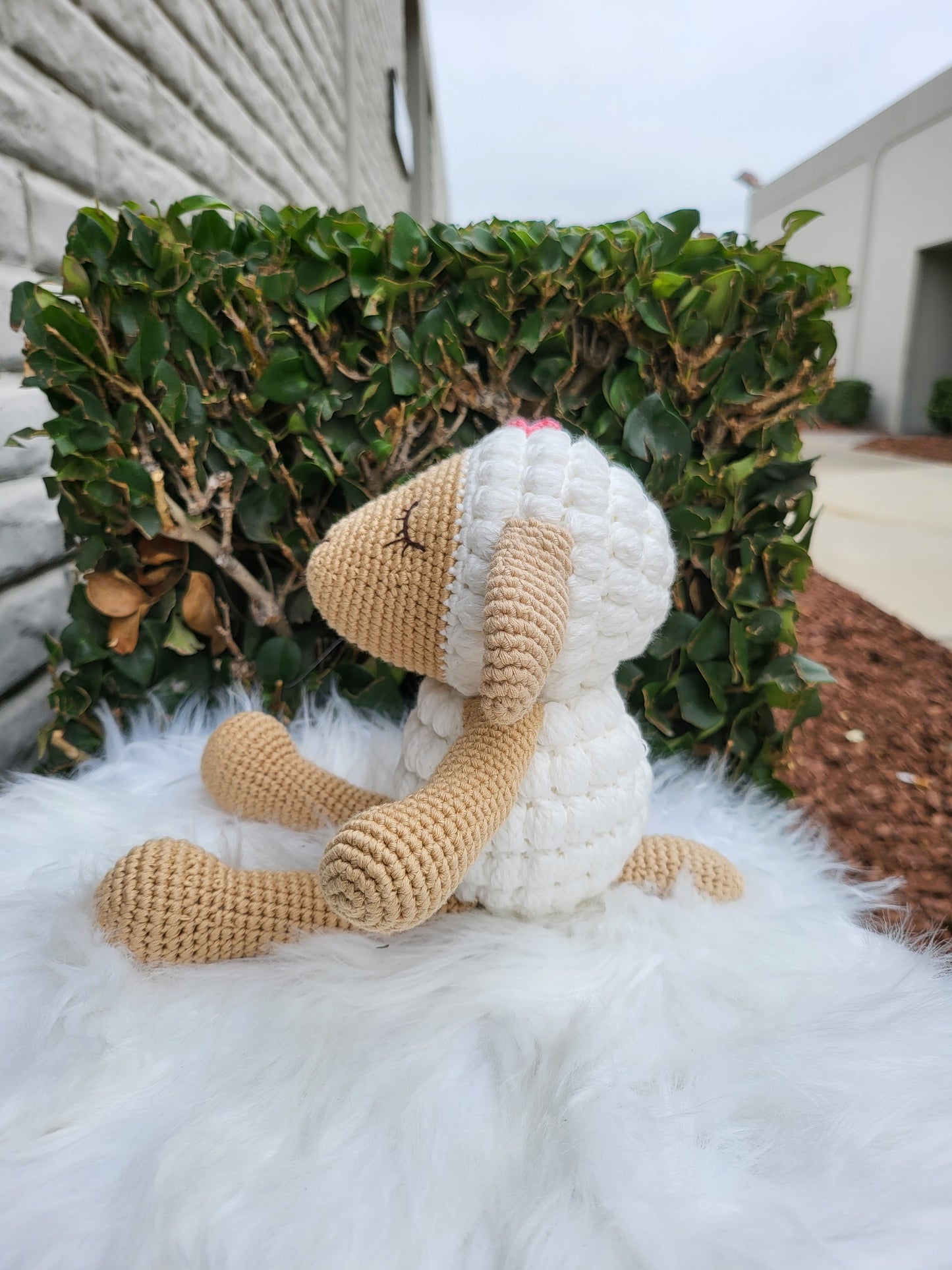 Medium Sitting Sheep