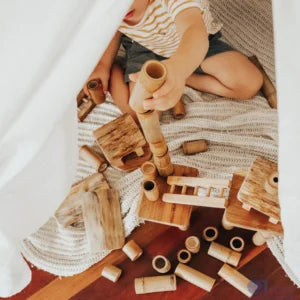 QToys Australia (USA) Bamboo Building Set with Houses