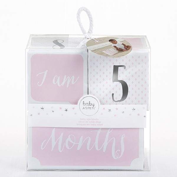 My First Milestone Little Princess Baby Age Blocks